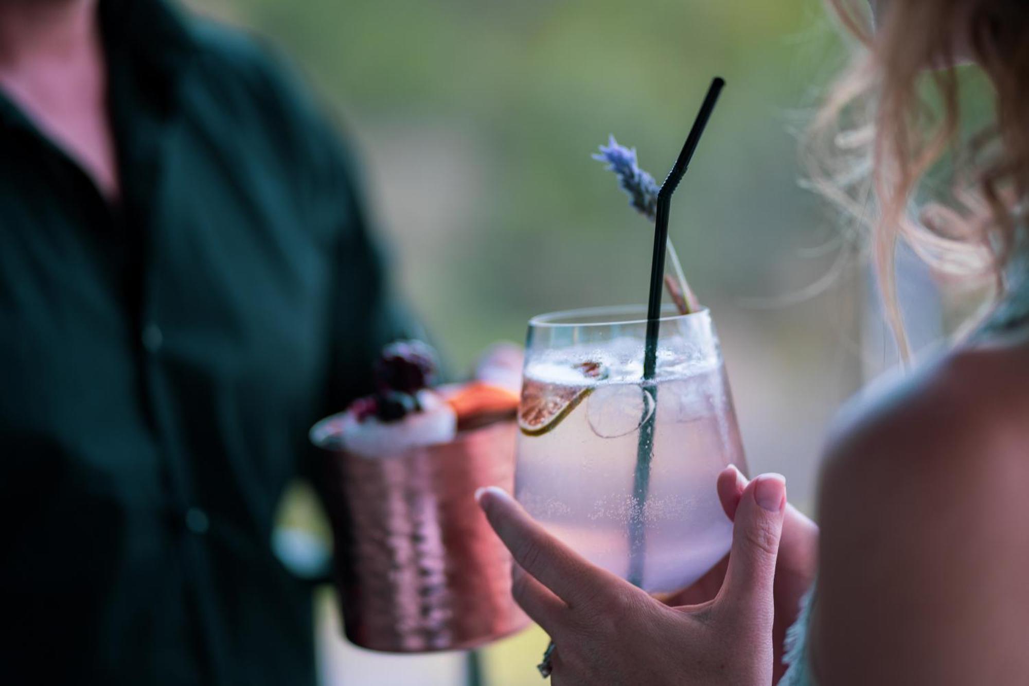 Monchique Resort - Activities Included Extérieur photo A lavender cocktail